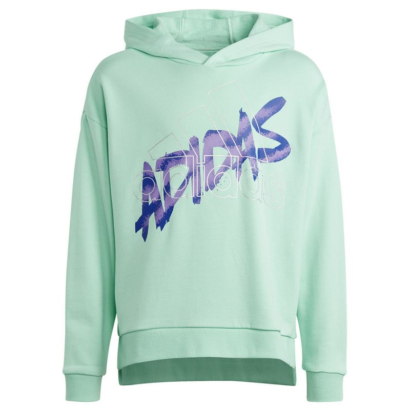Adidas D Hoody Jr vaikiškas džemperis HR5825