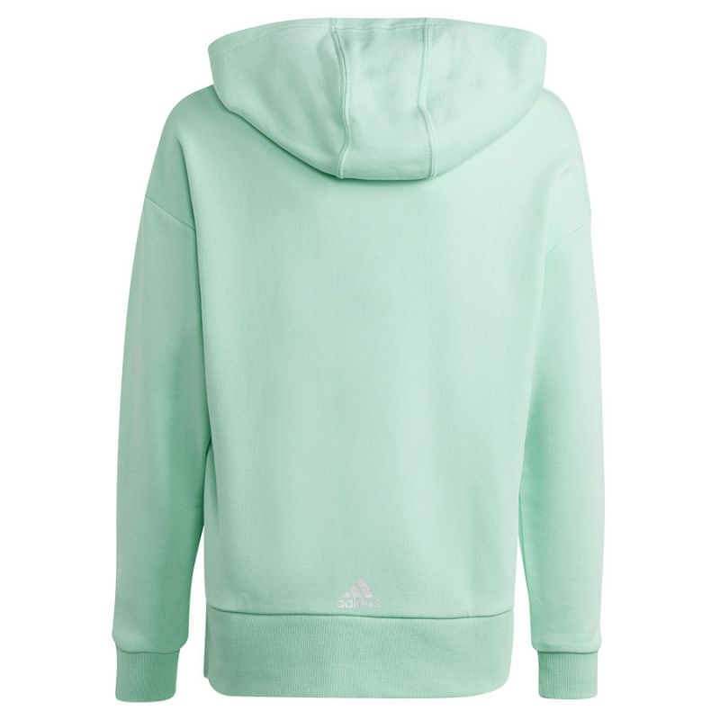 Adidas D Hoody Jr vaikiškas džemperis HR5825